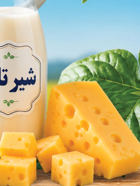 طرح بنر مغازه لبنیاتی PSD لایه باز حرفه ای