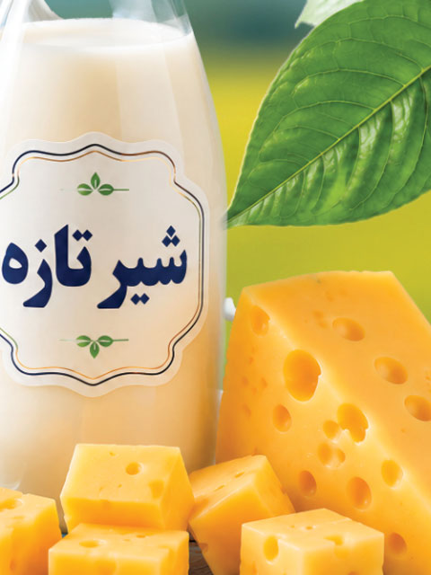 تراکت لبنیات سنتی و محلی طرح PSD لایه باز